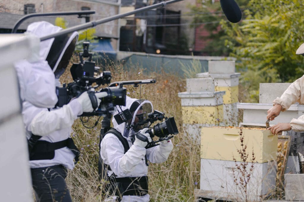 filming bee hive workers